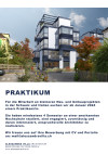Praktium/Job Inserat