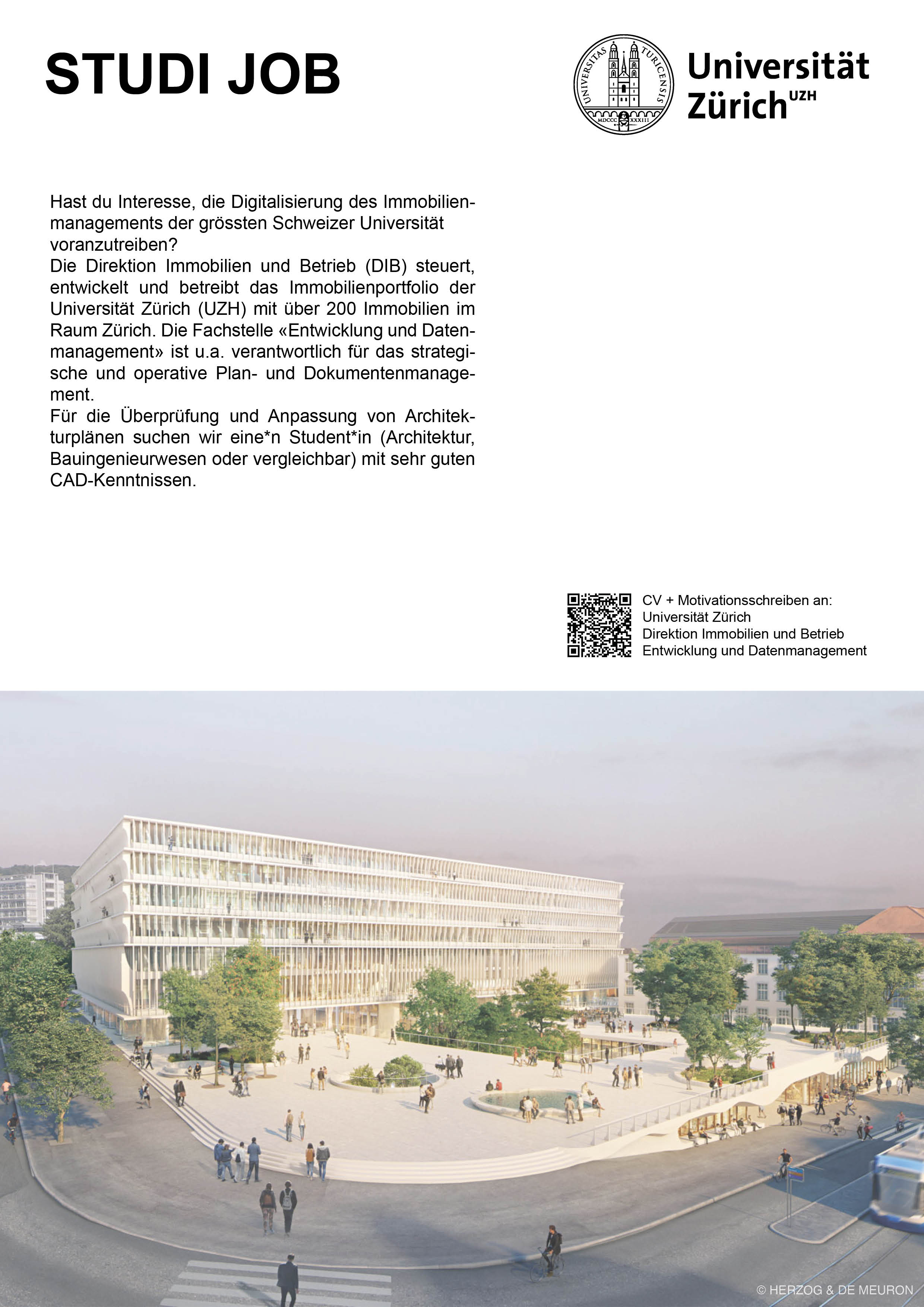 Praktium/Job Inserat