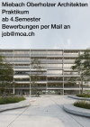 Praktium/Job Inserat