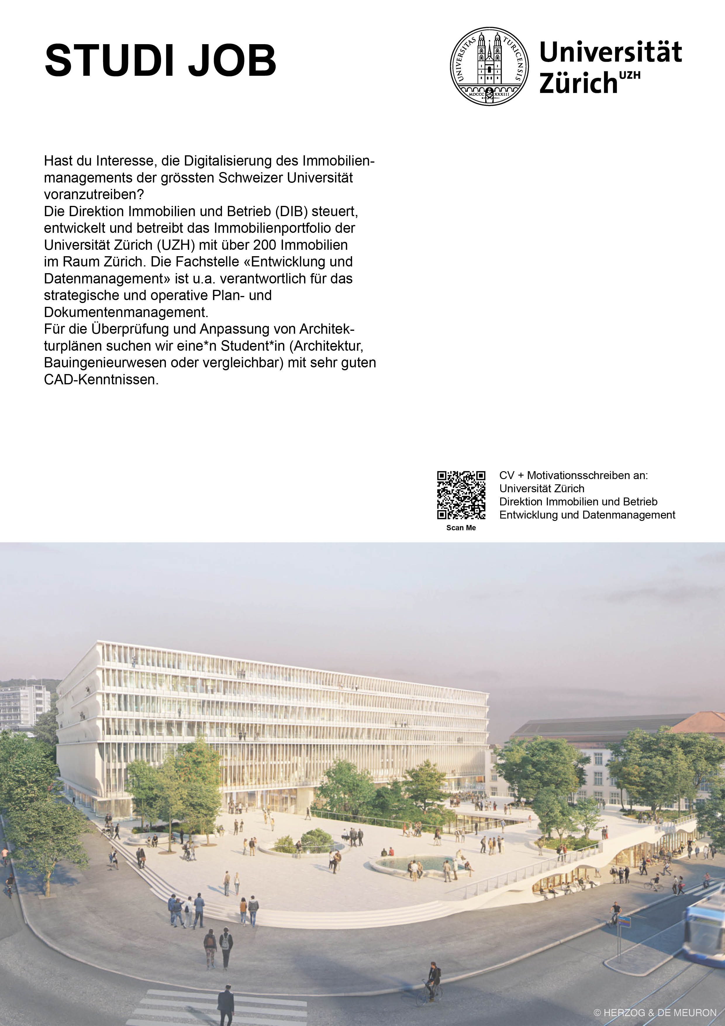 Praktium/Job Inserat