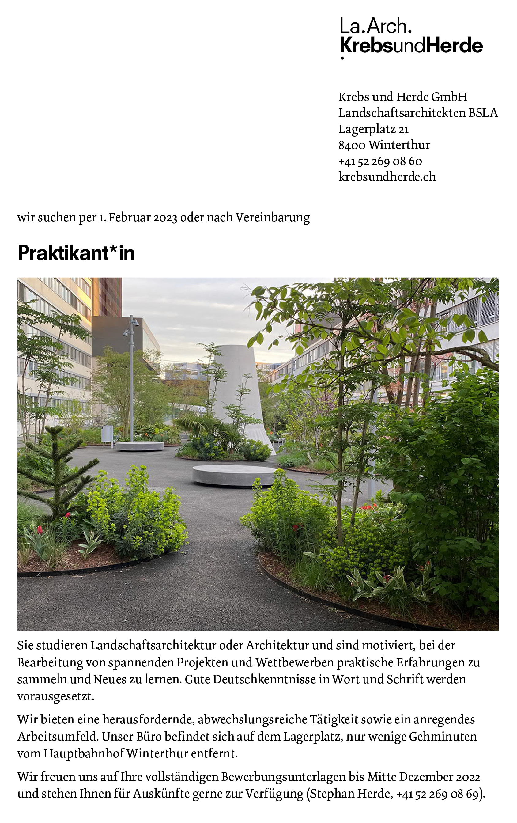 Praktium/Job Inserat