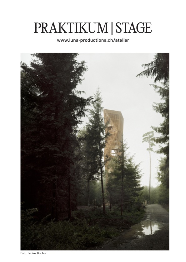 Praktium/Job Inserat