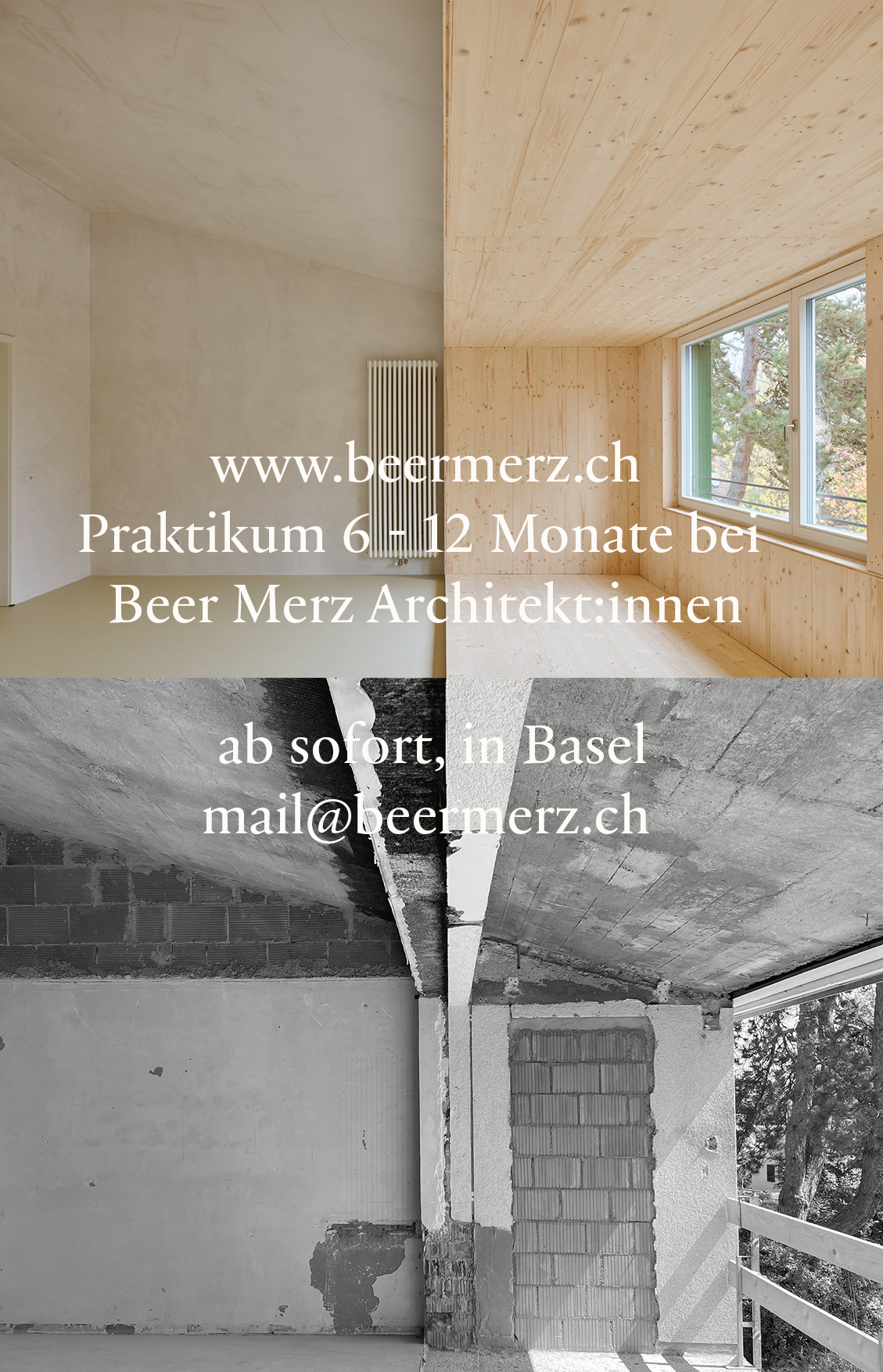 Praktium/Job Inserat