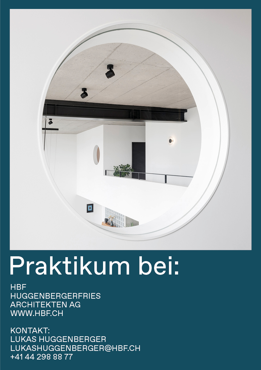 Praktium/Job Inserat