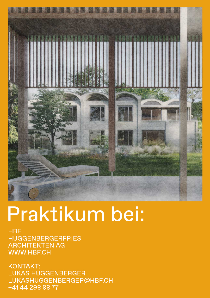 Praktium/Job Inserat