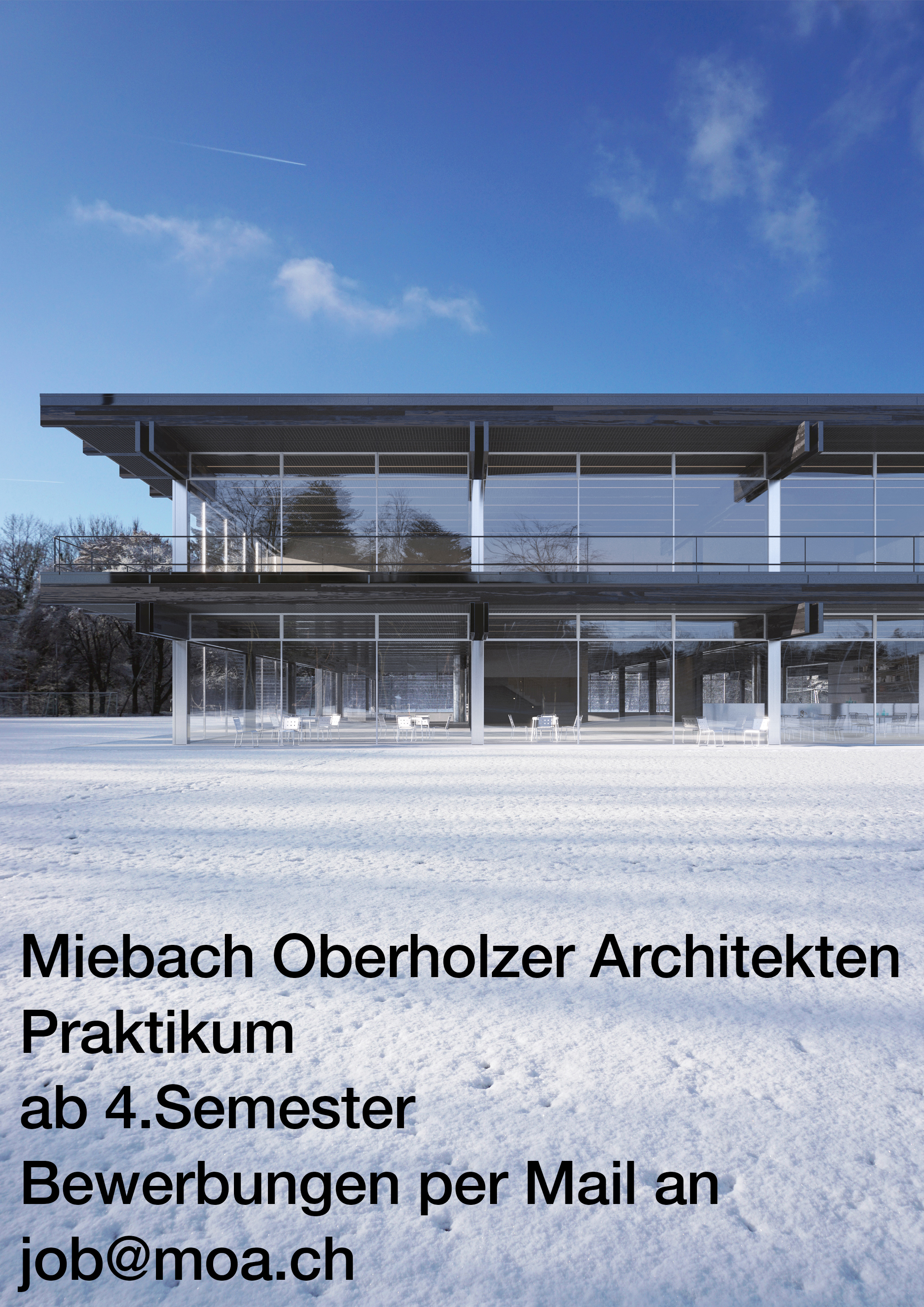 Praktium/Job Inserat