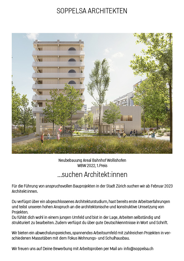 Praktium/Job Inserat