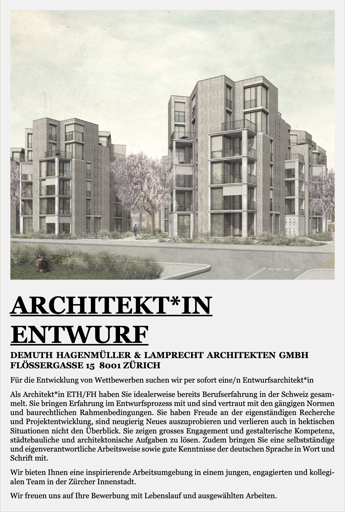 Praktium/Job Inserat