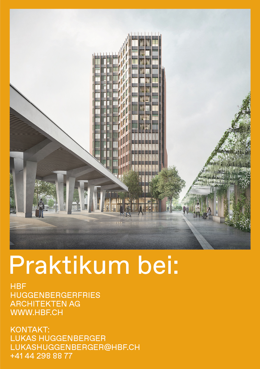 Praktium/Job Inserat