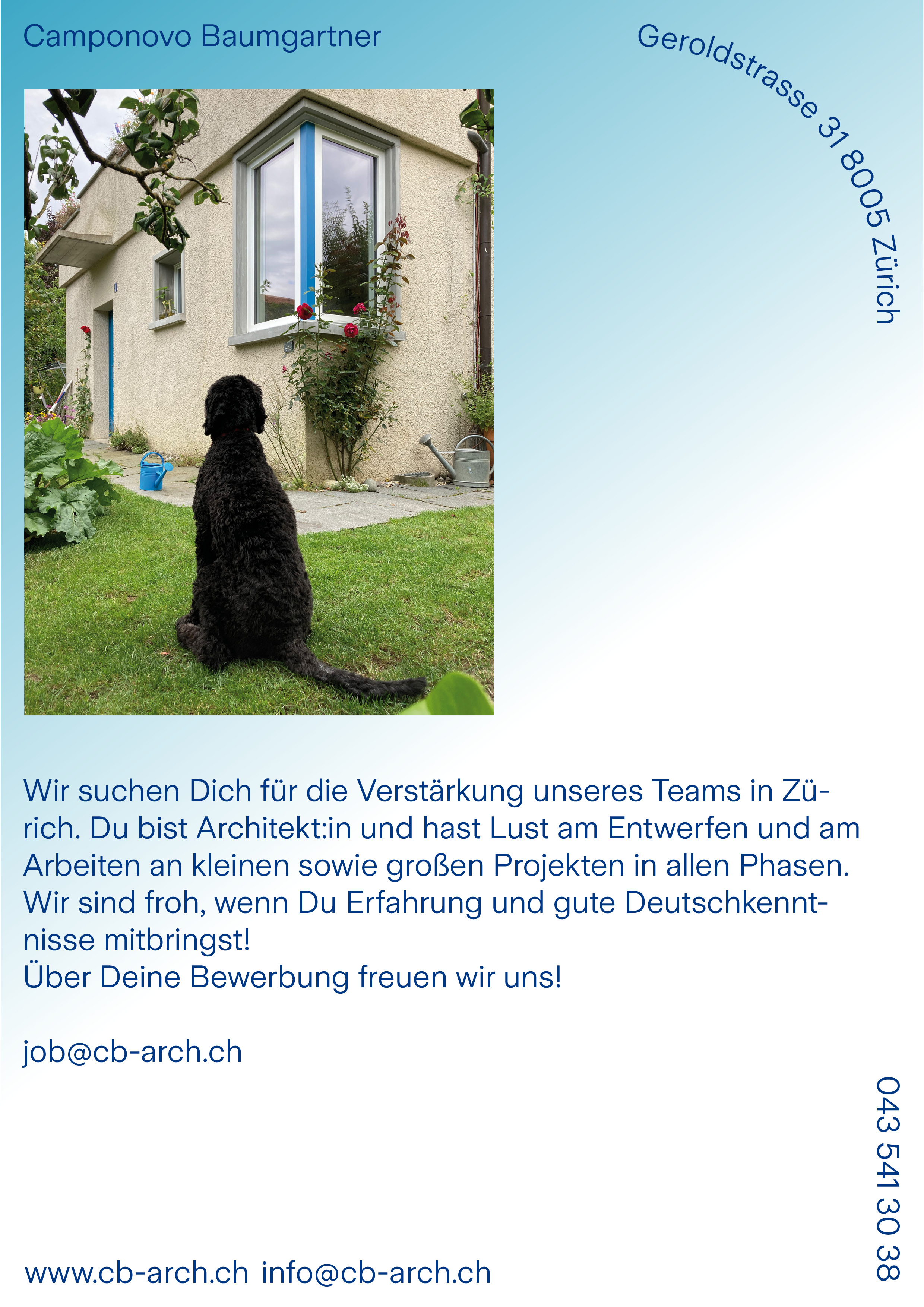 Praktium/Job Inserat