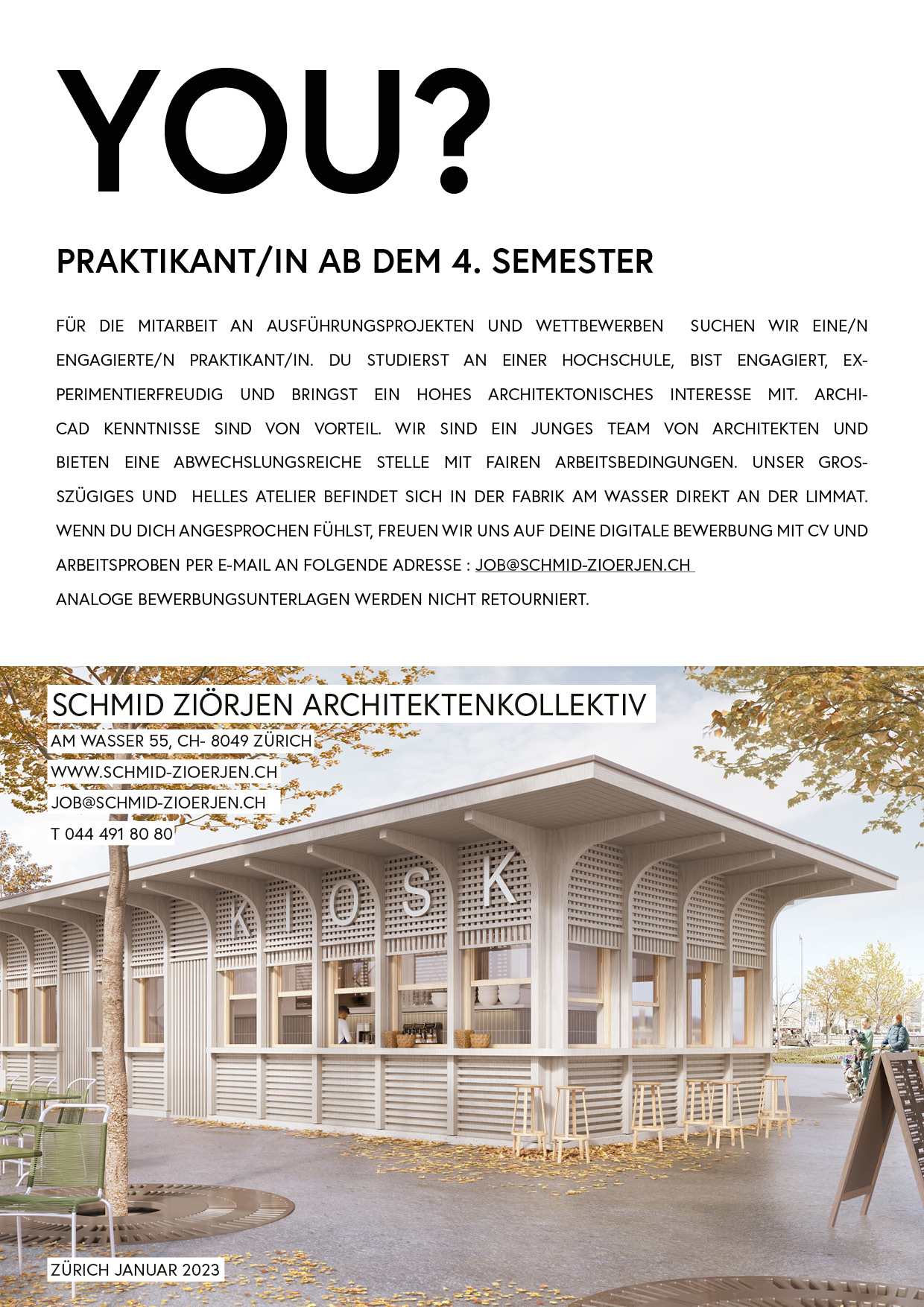 Praktium/Job Inserat