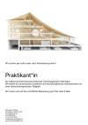 Praktium/Job Inserat