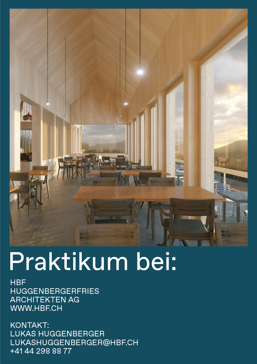 Praktium/Job Inserat