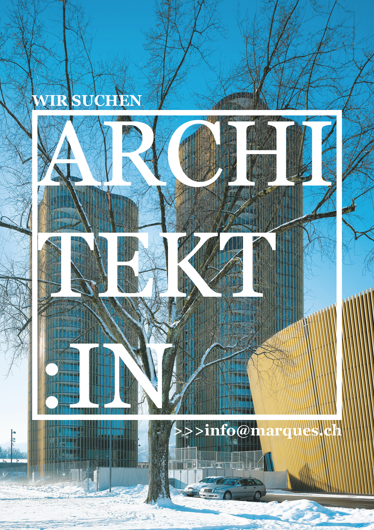 Praktium/Job Inserat