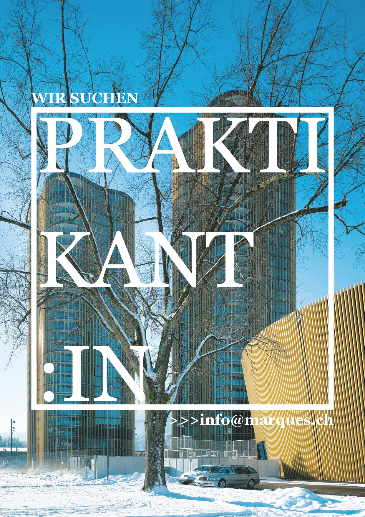 Praktium/Job Inserat