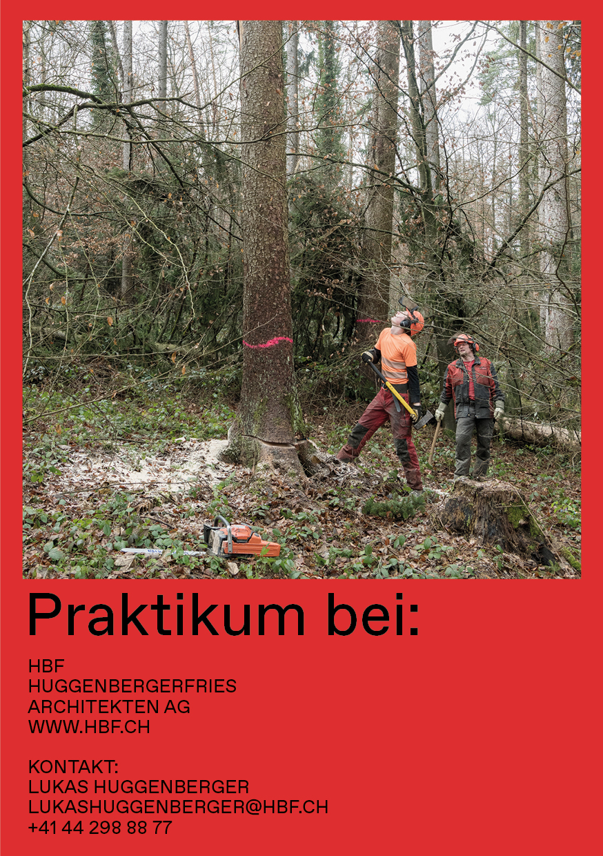 Praktium/Job Inserat